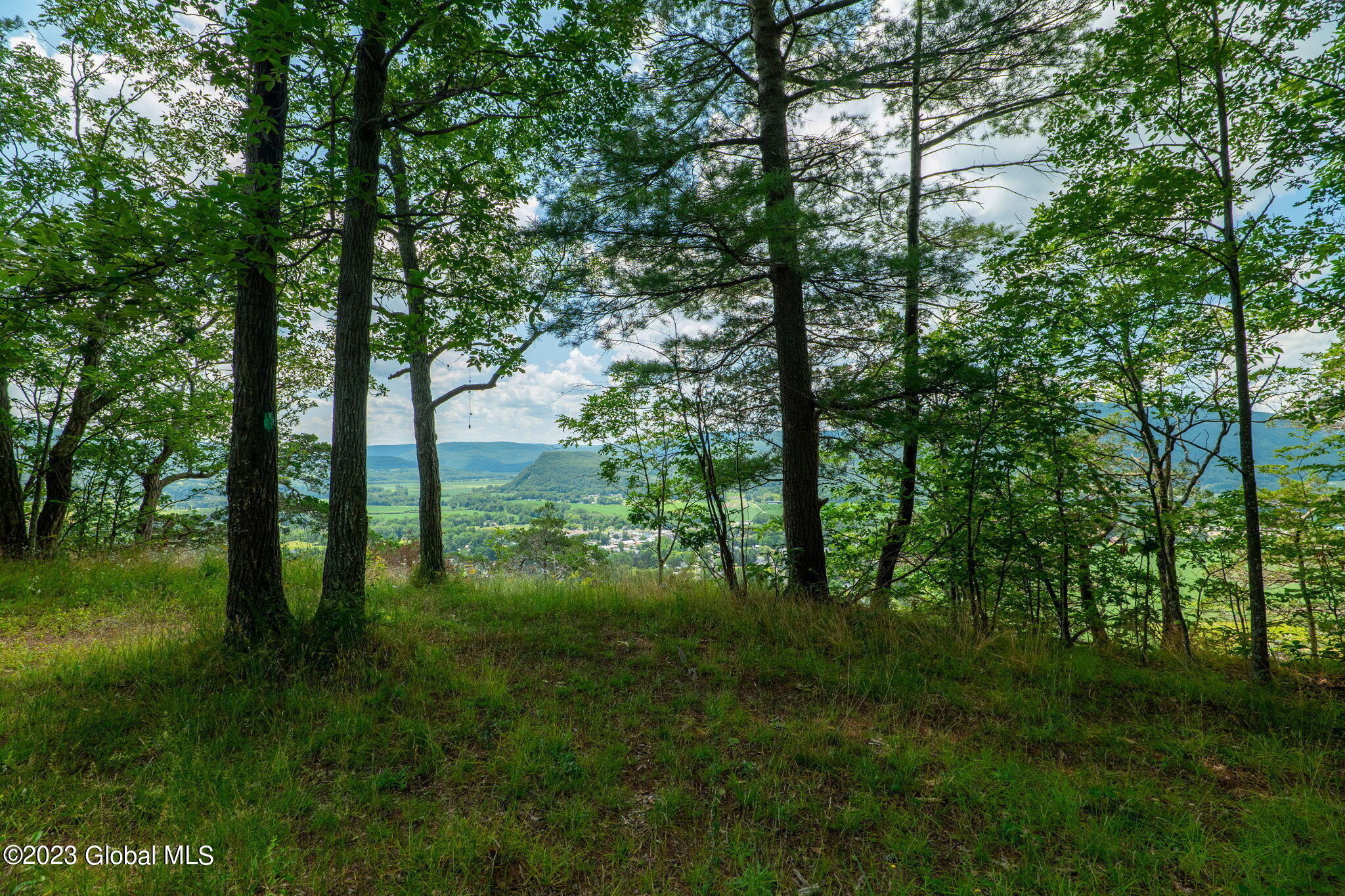 L16 Mt Path, Middleburgh, New York image 17