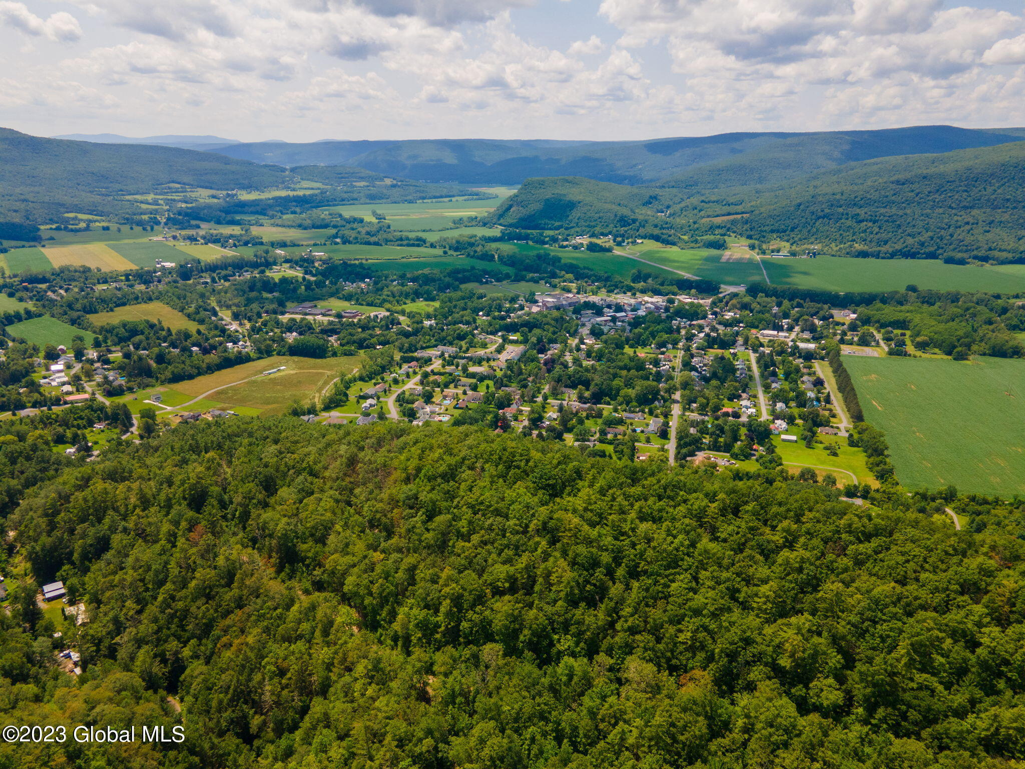 L16 Mt Path, Middleburgh, New York image 11