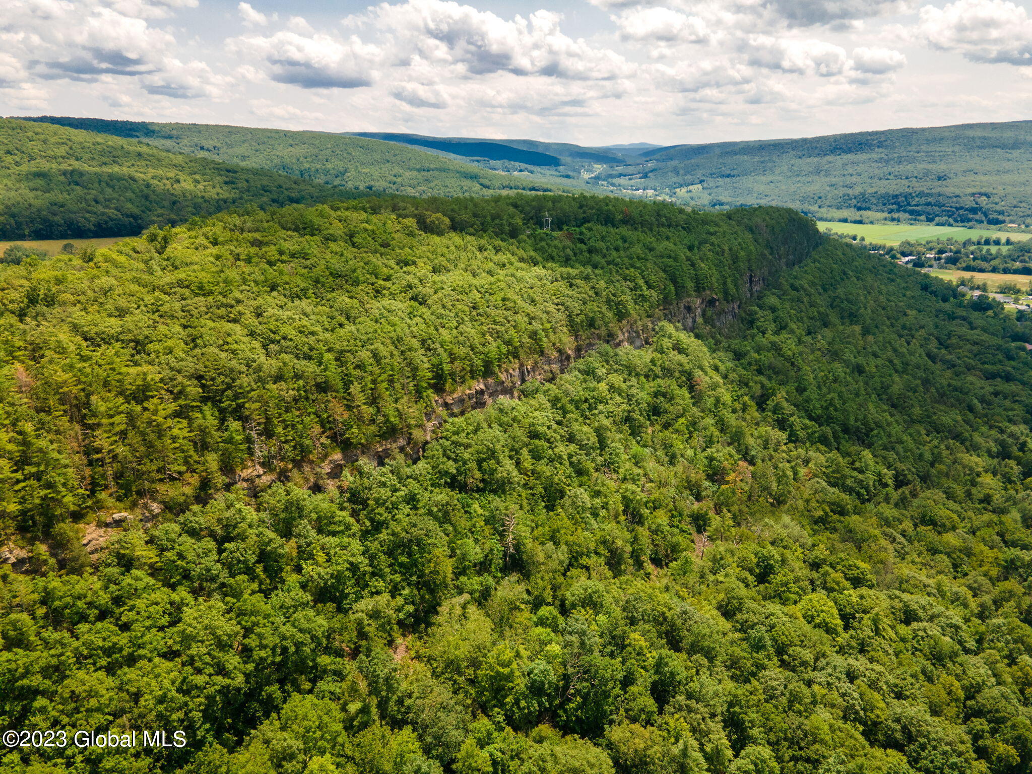 L16 Mt Path, Middleburgh, New York image 14