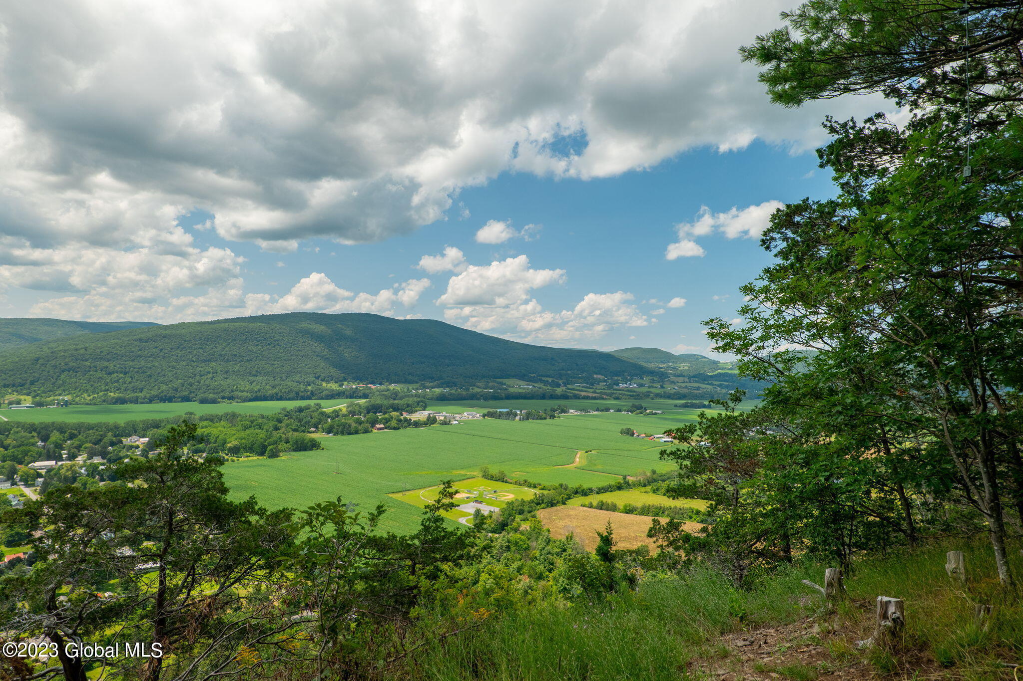 L16 Mt Path, Middleburgh, New York image 2