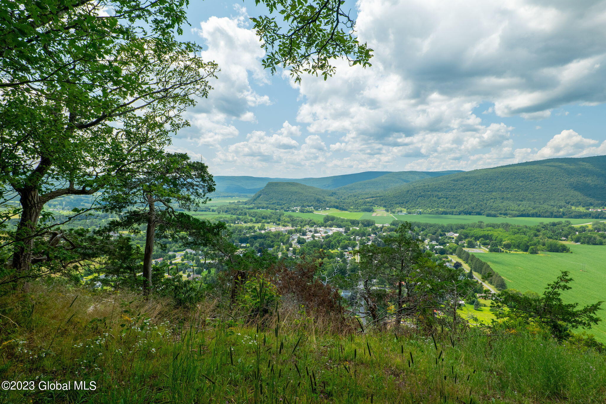 L16 Mt Path, Middleburgh, New York image 1