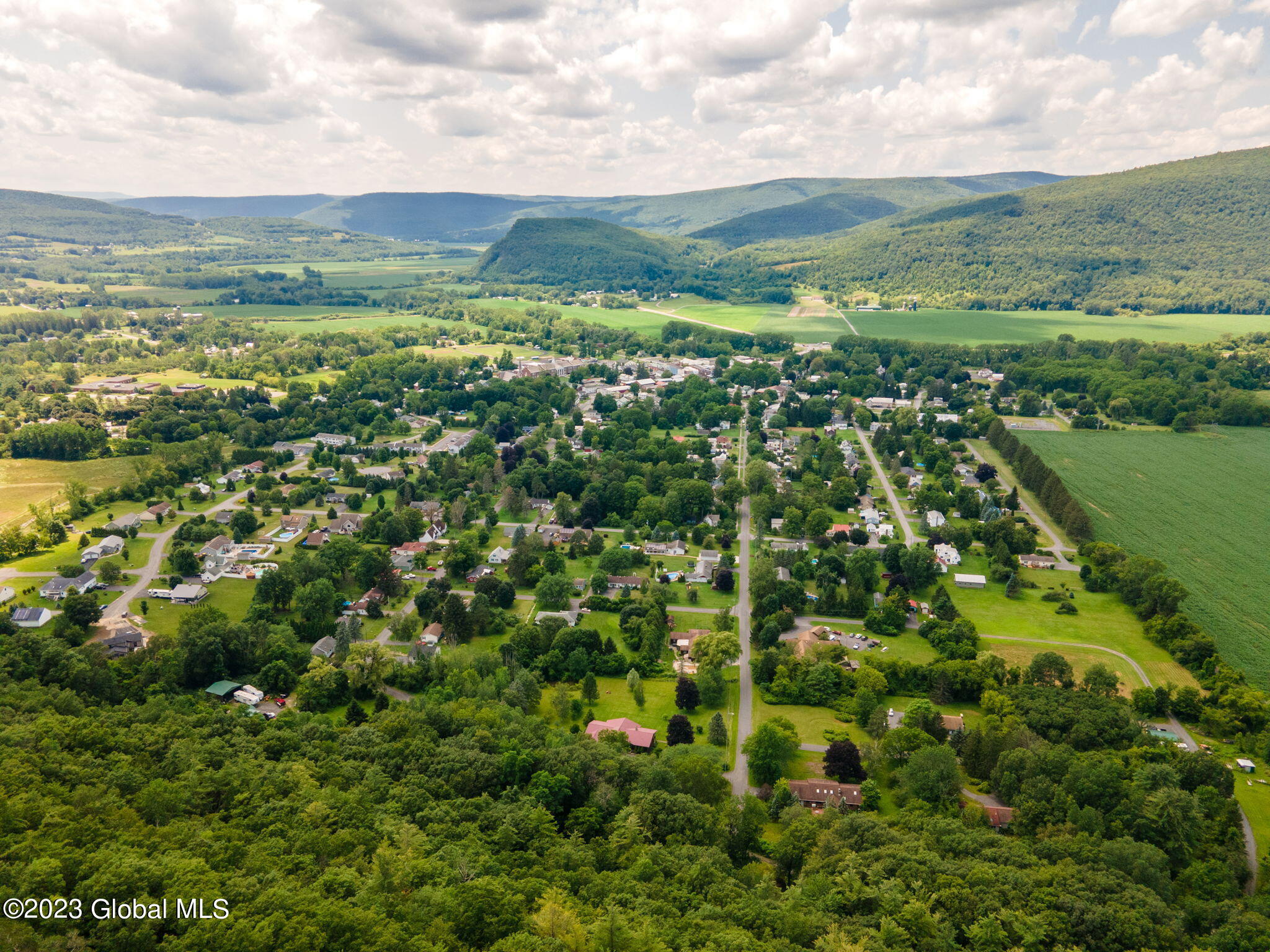 L16 Mt Path, Middleburgh, New York image 7