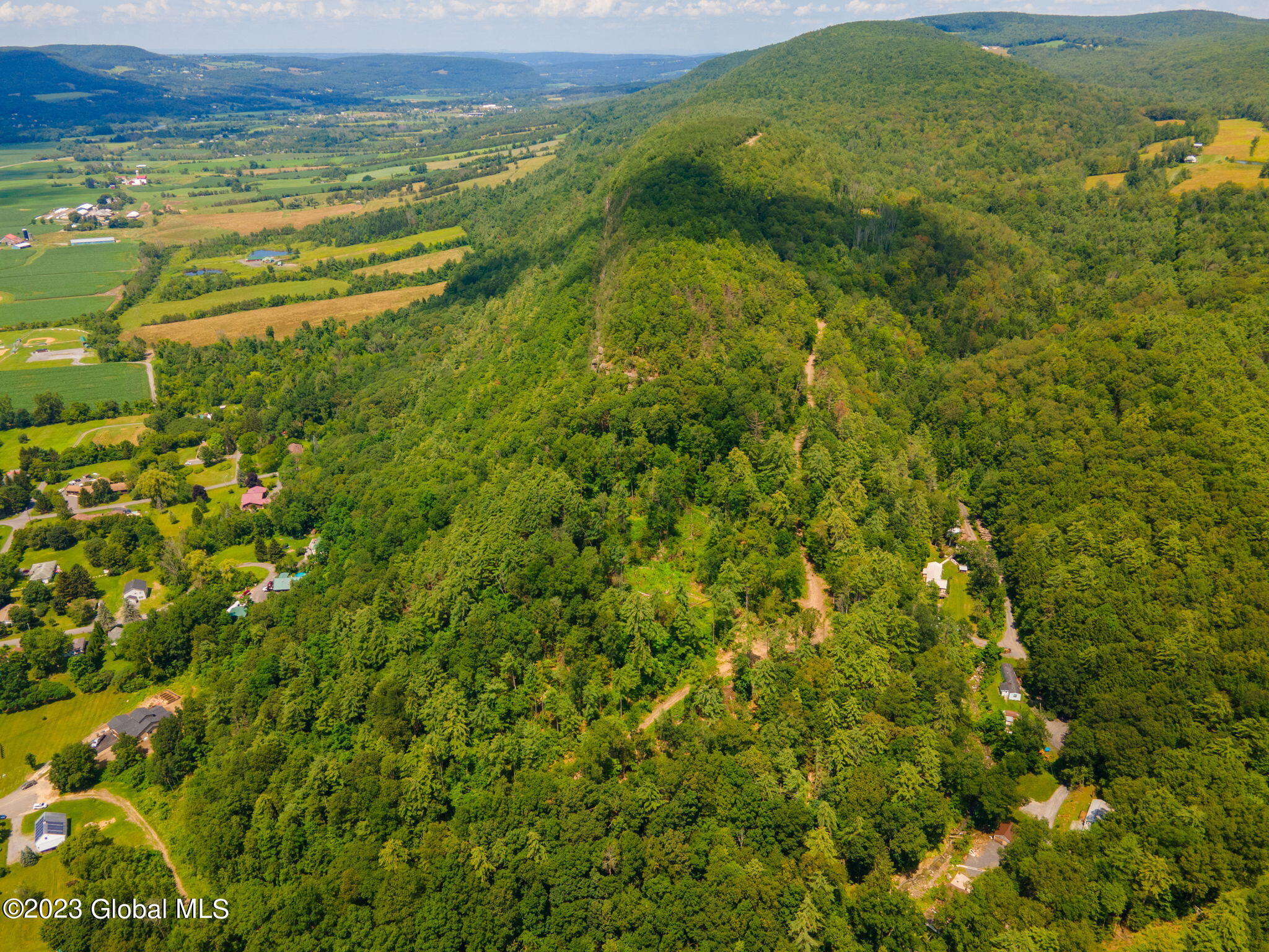 L16 Mt Path, Middleburgh, New York image 16