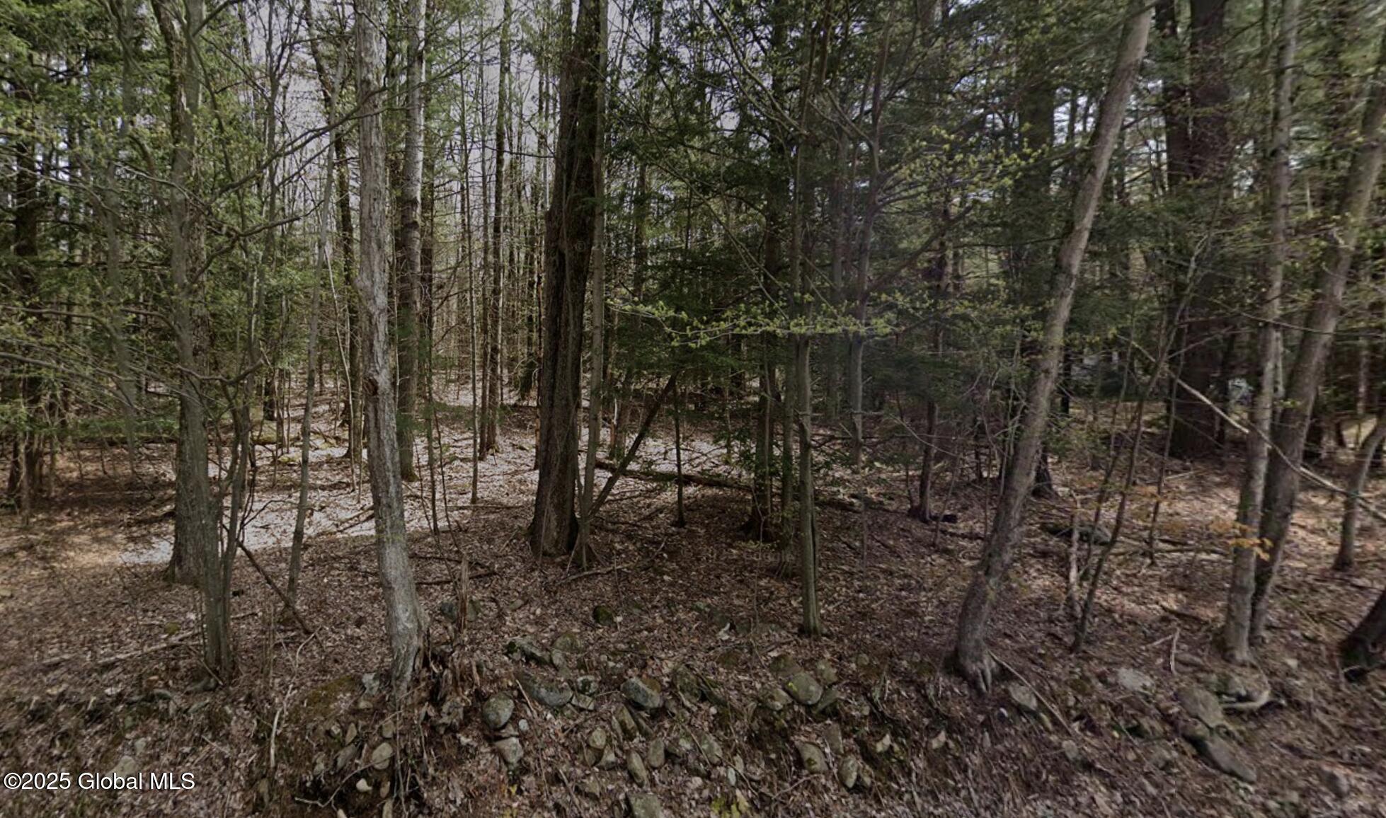 460 Madonna Lake Road, Cropseyville, New York image 3