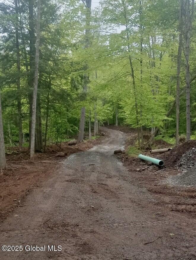 L5 Fox Hill Road, Northville, New York image 10