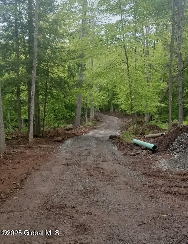 L5 Fox Hill Road, Northville, New York image 8