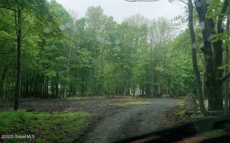 L5 Fox Hill Road, Northville, New York image 4