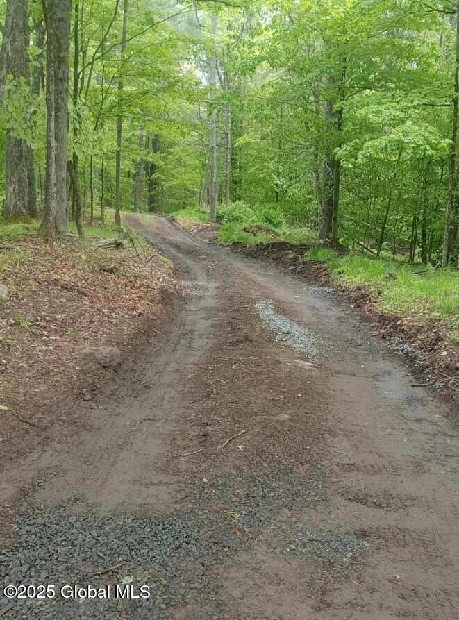 L5 Fox Hill Road, Northville, New York image 7