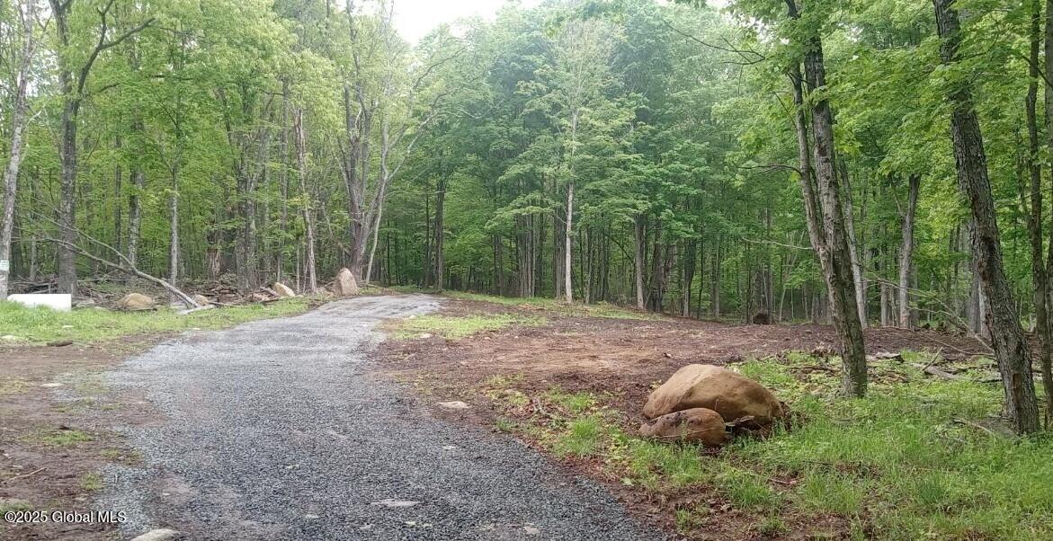L5 Fox Hill Road, Northville, New York image 5