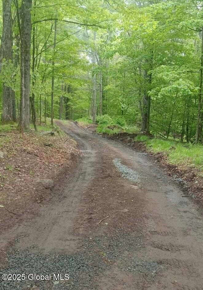 L5 Fox Hill Road, Northville, New York image 9