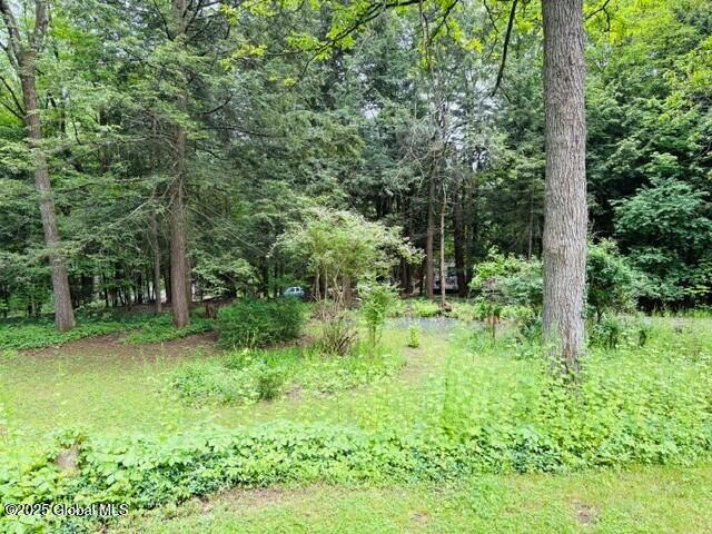 8 Lee Avenue, Rexford, New York image 22