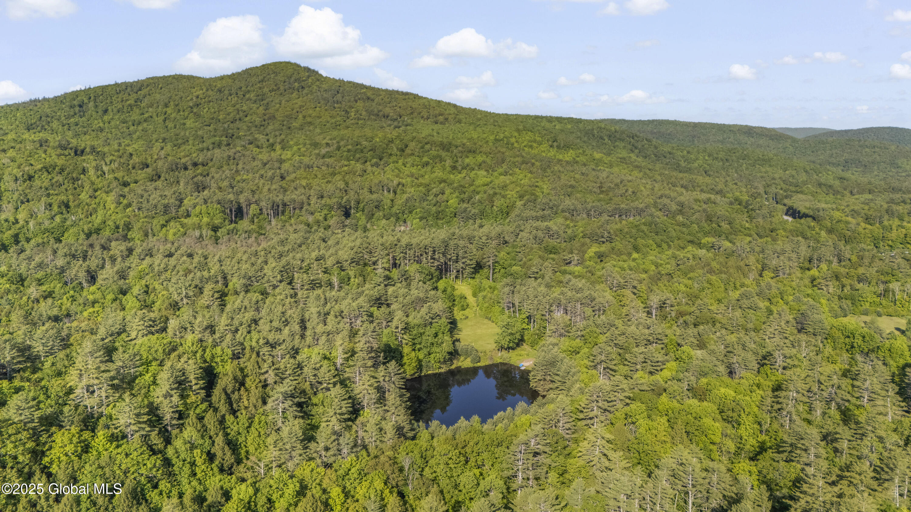 274 Hadley Road, Stony Creek, New York image 48