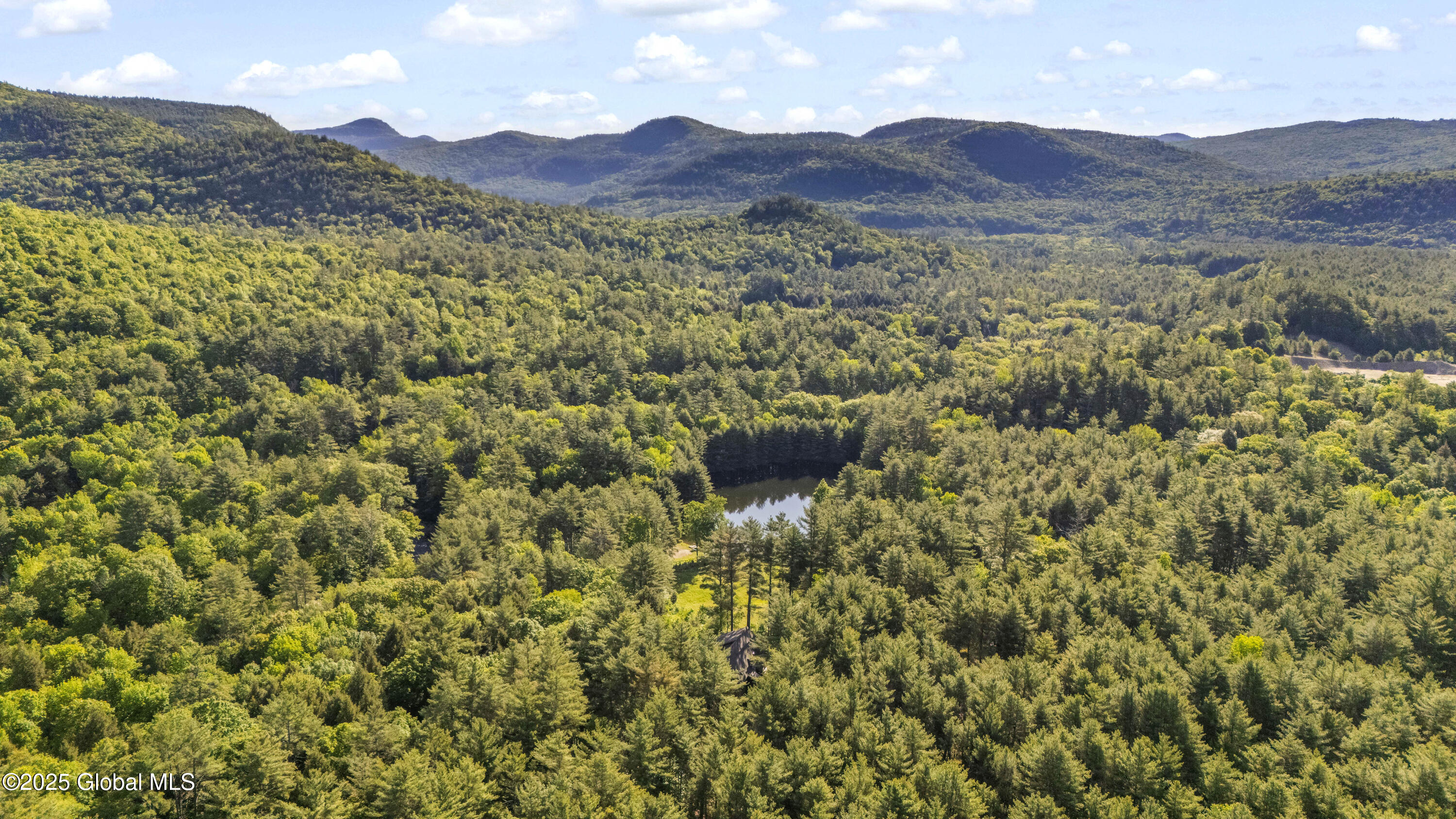 274 Hadley Road, Stony Creek, New York image 50