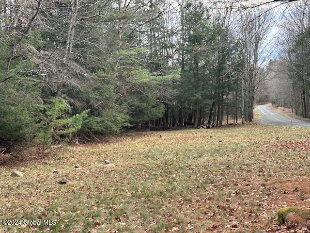 1A Nugent Road, Grafton, New York image 4