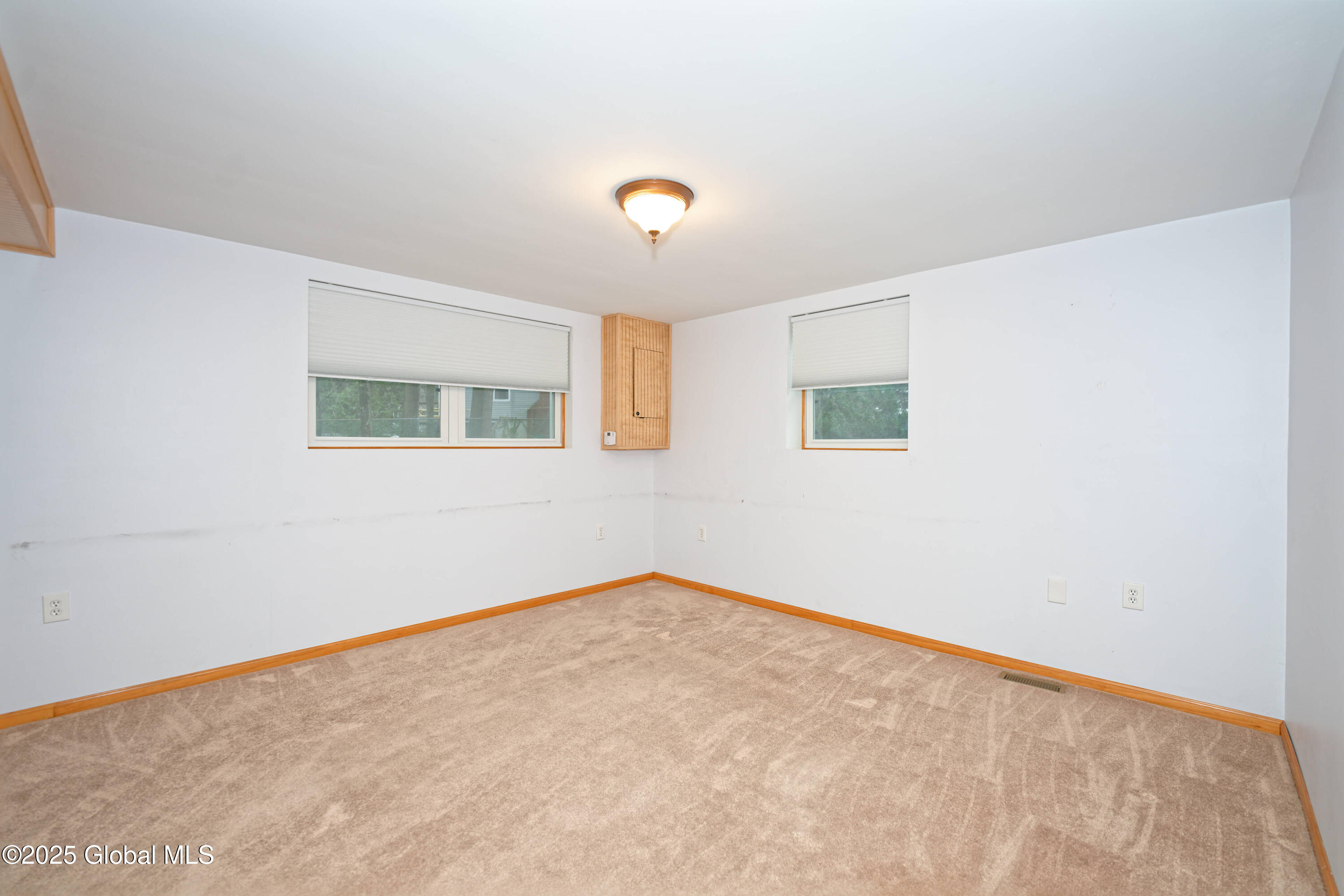 4 Avocado Court, Clifton Park, New York image 21