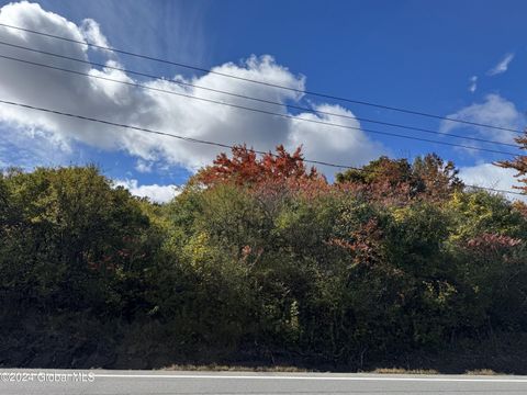 Vacant Land For Sale - 929 Sacandaga Road<br/> Glenville, NY 12302
