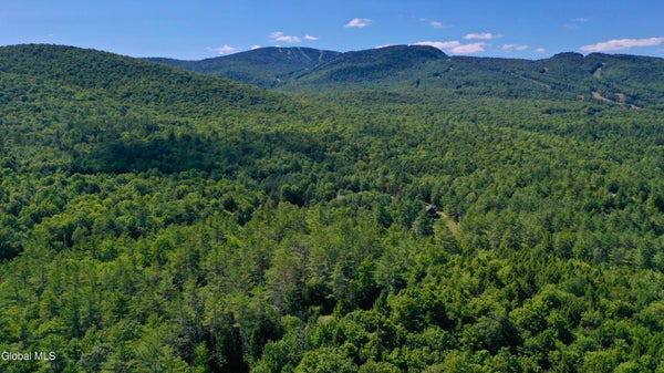 49 THE WOODS, NORTH CREEK, NY 12853 - Image 0913da590d46fb06244fbd802c04d5e6/324166155
