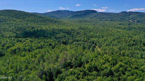 Photo of 49 The Woods, North Creek, NY 12853 (MLS # 202611314)