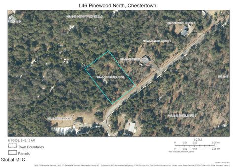 Photo of L46 Pinewood Rd North, Chestertown, NY 12817 (MLS # 202618493)