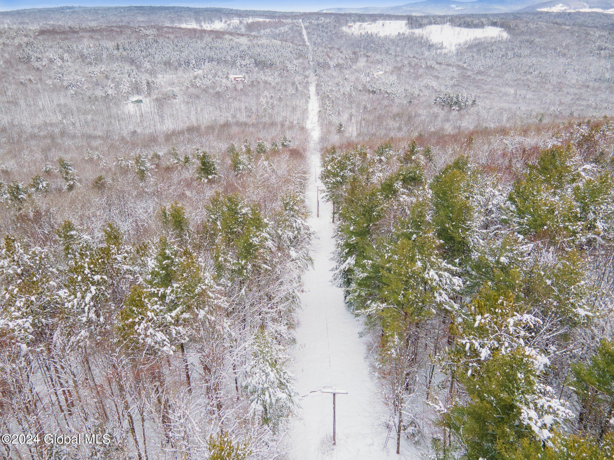 L1 Lassen Road, Middleburgh, New York image 8