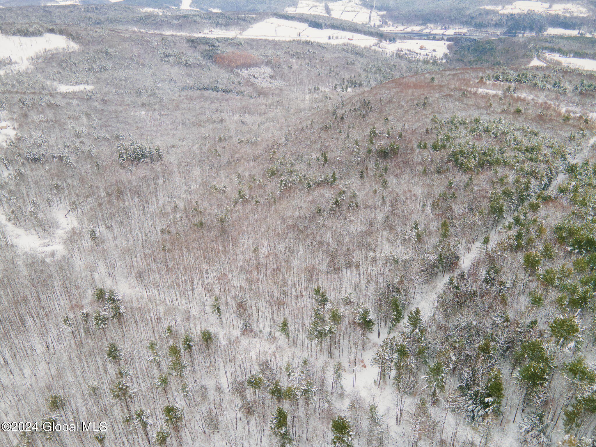 L1 Lassen Road, Middleburgh, New York image 10