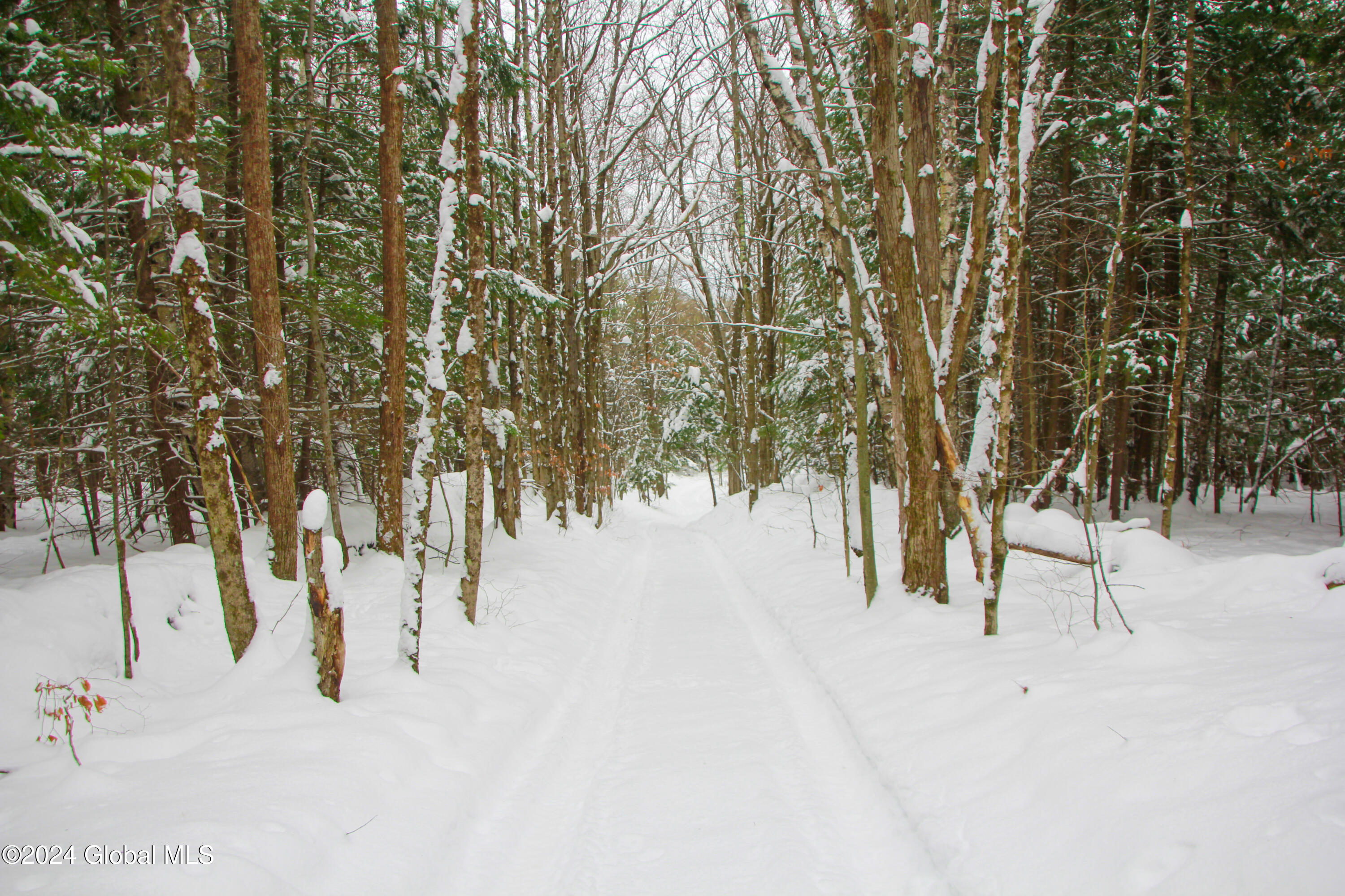 L1 Lassen Road, Middleburgh, New York image 1