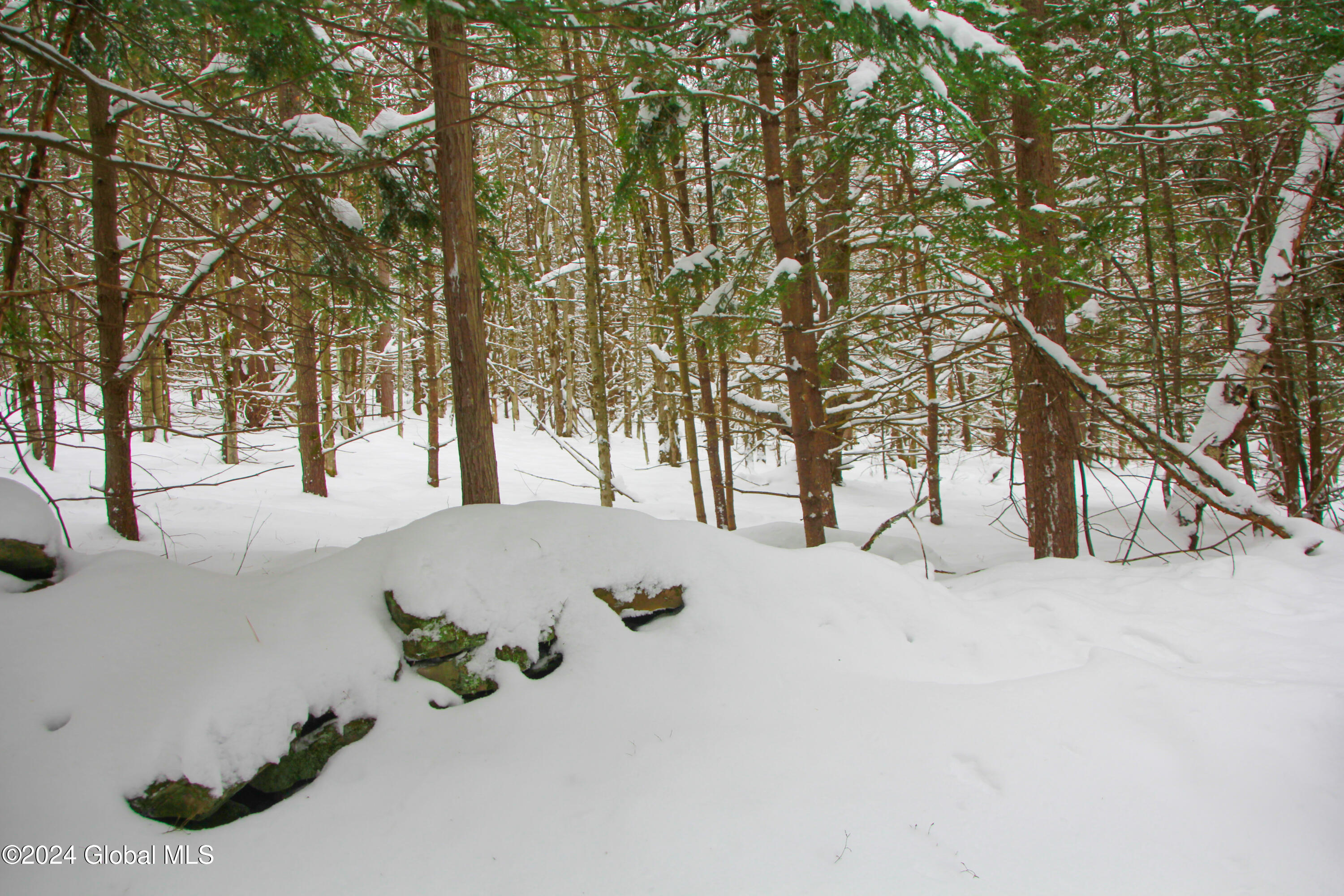 L1 Lassen Road, Middleburgh, New York image 4