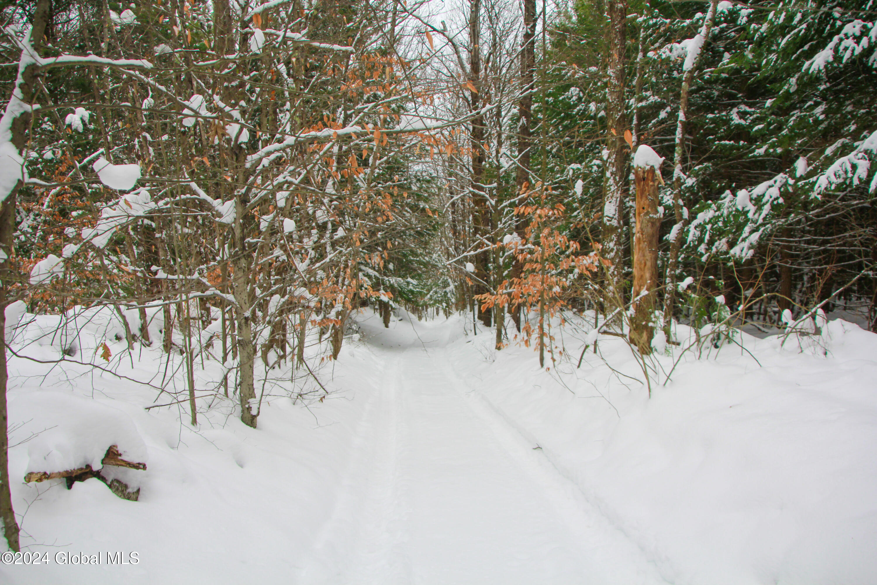 L1 Lassen Road, Middleburgh, New York image 5