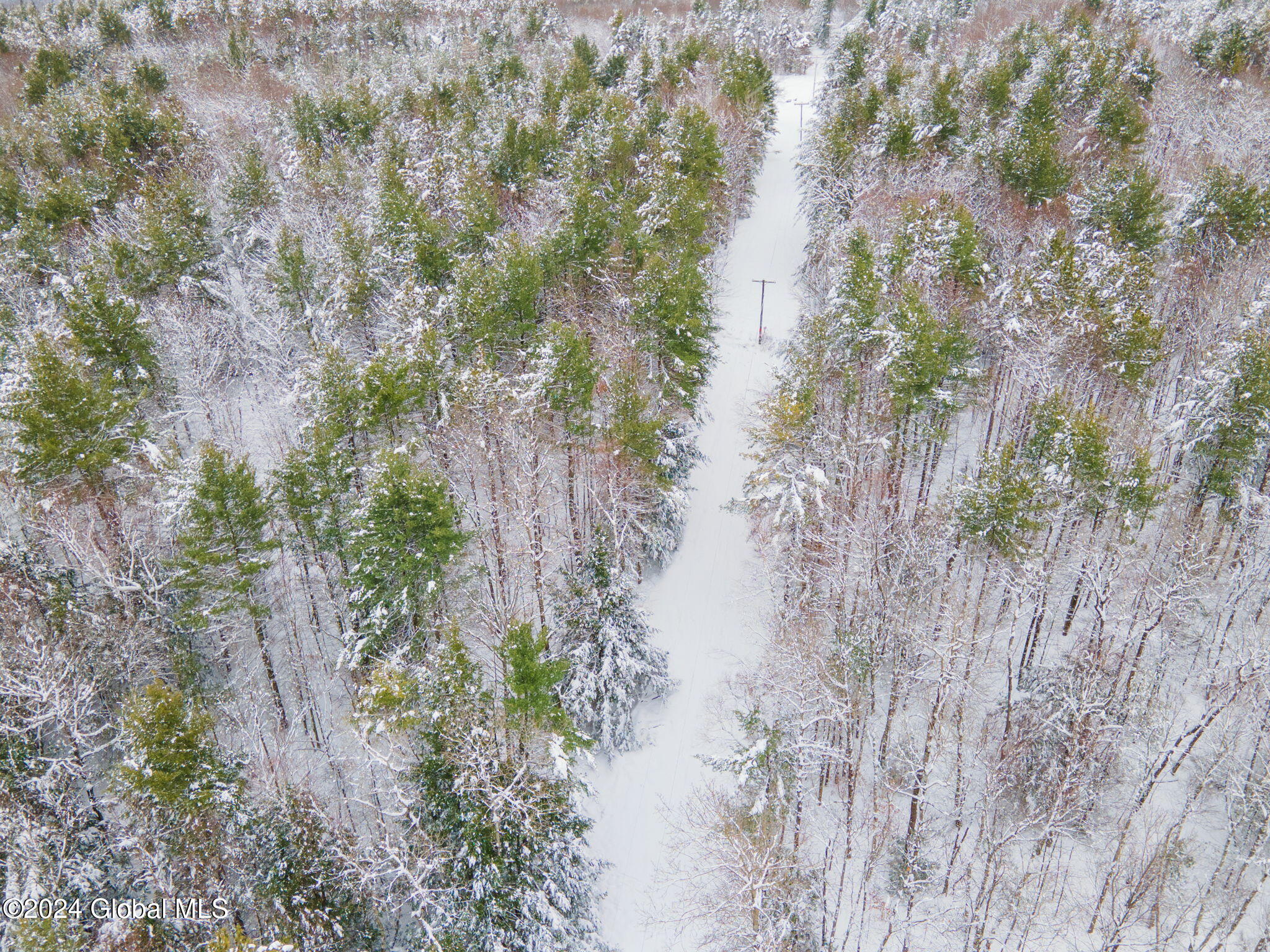 L1 Lassen Road, Middleburgh, New York image 7