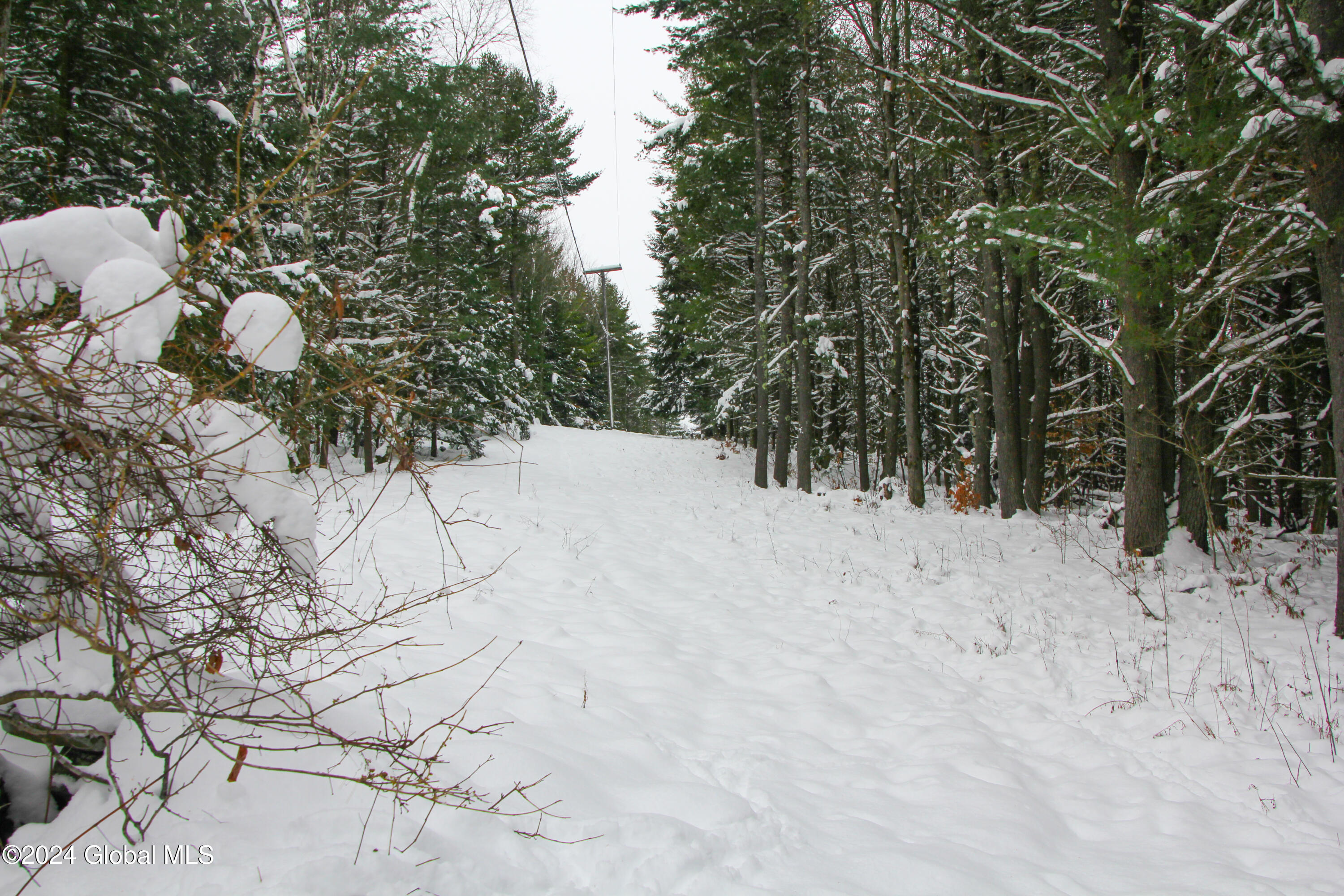 L1 Lassen Road, Middleburgh, New York image 3