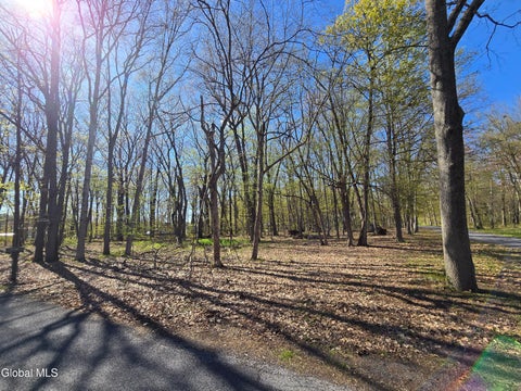Vacant Land For Sale - 5 Sunset Street<br/> Rexford, NY 12148