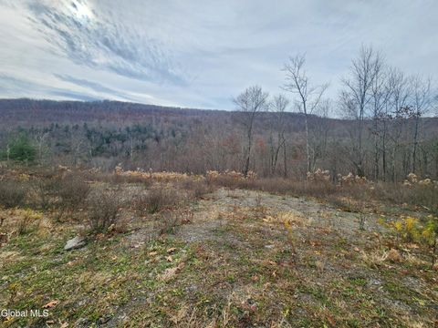 Vacant Land For Sale - 143 Rebel Ridge Road<br/> Jefferson, NY 12093