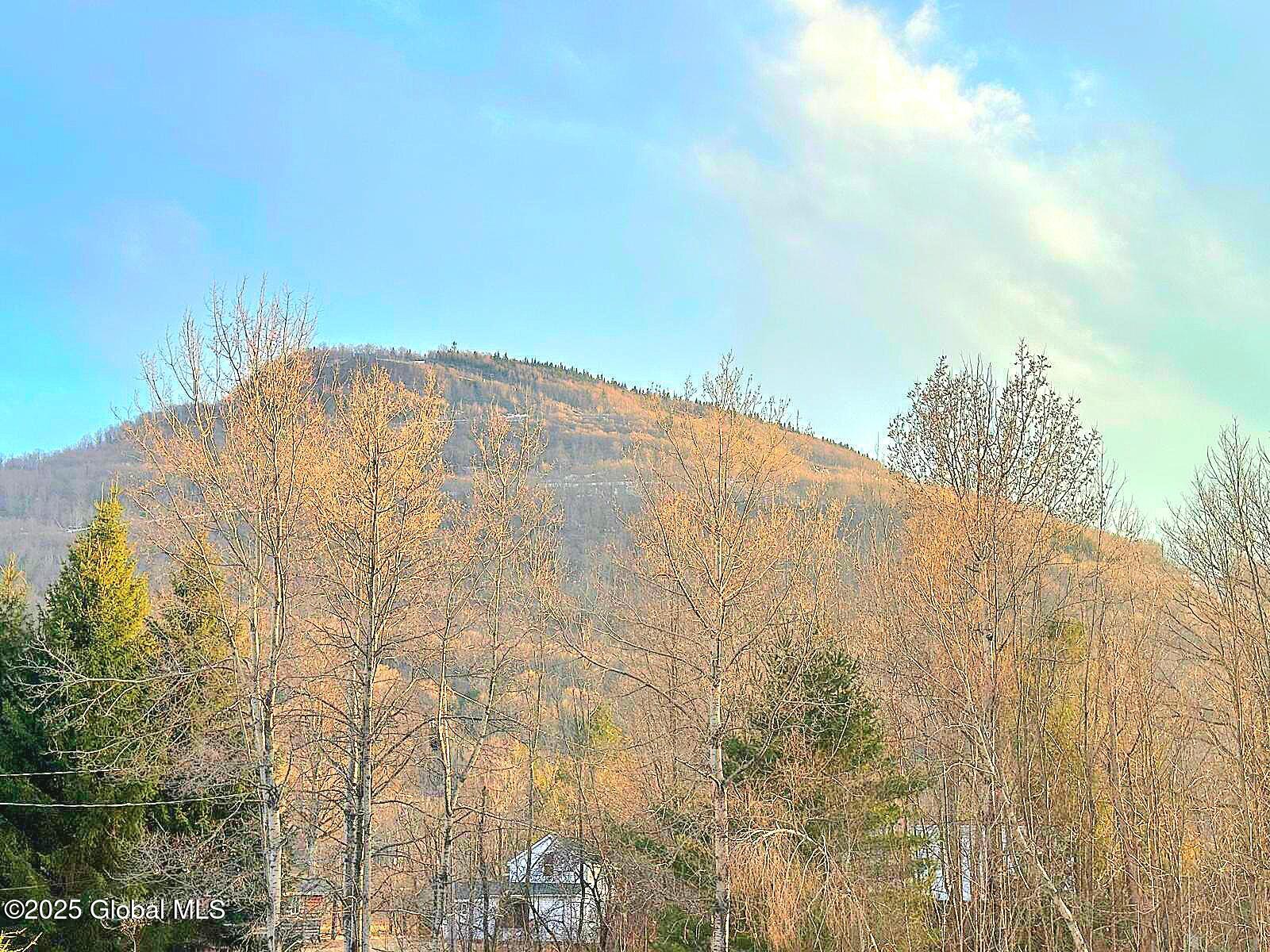 64 Maple Avenue, Hunter, New York image 8