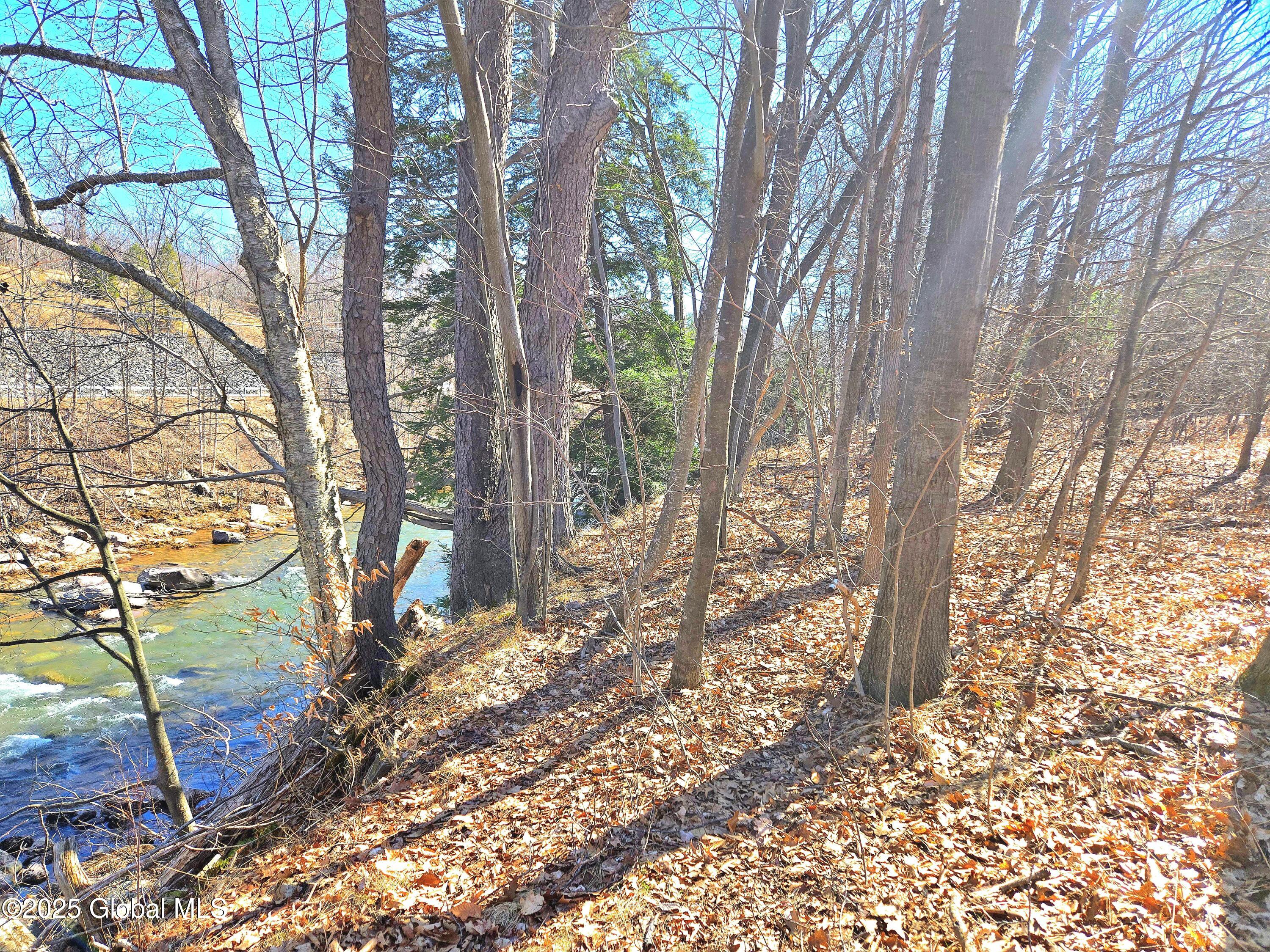 64 Maple Avenue, Hunter, New York image 10