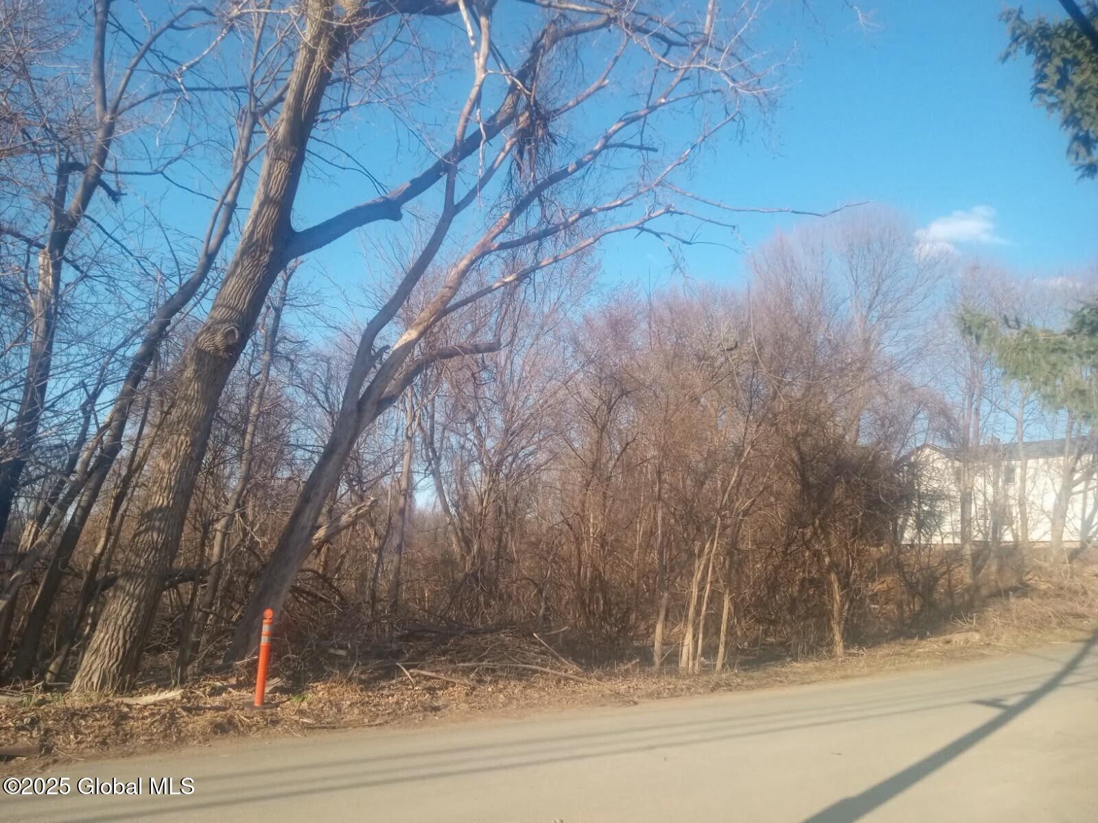 L3.2 Thompson Street, Troy, New York image 5