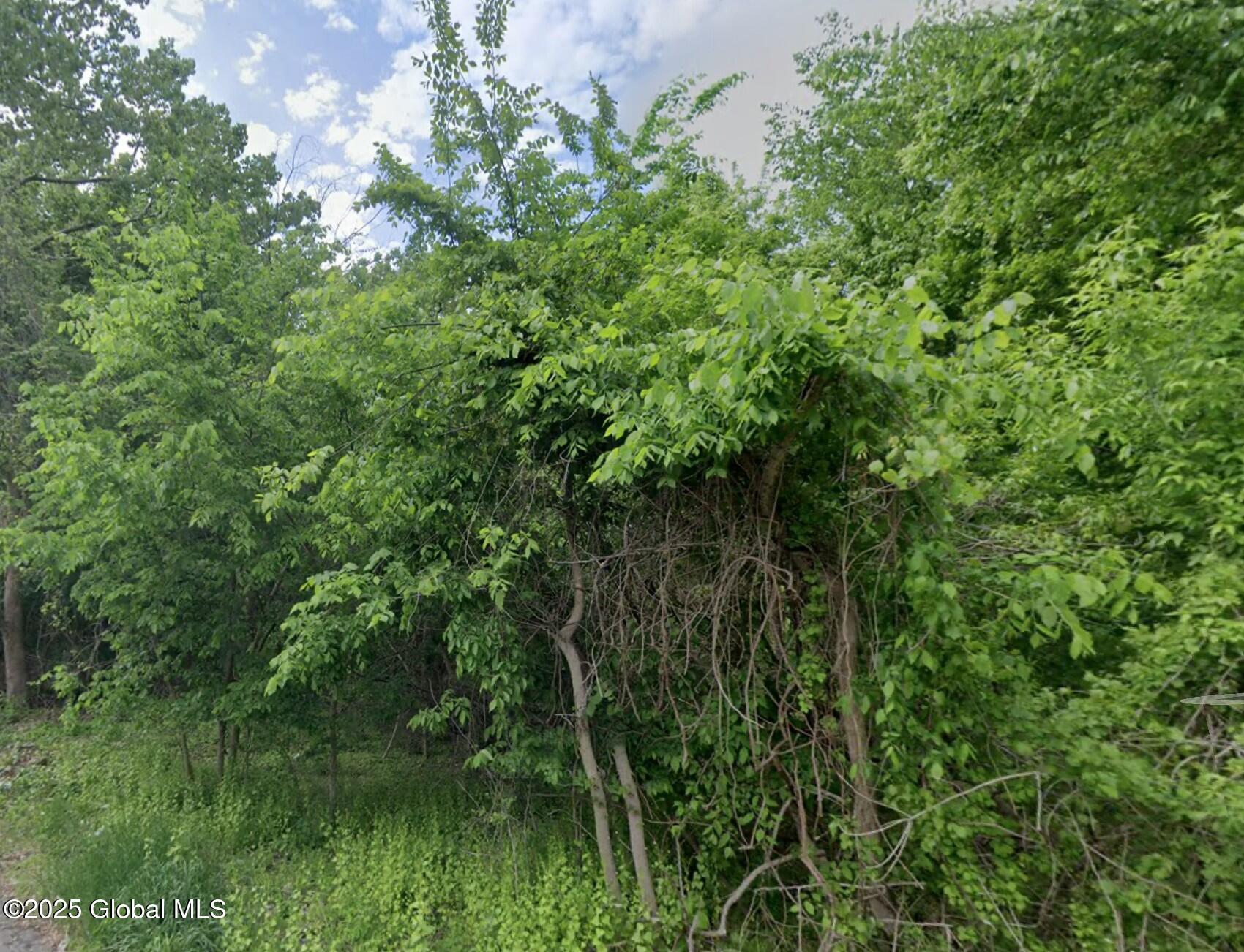 L3.2 Thompson Street, Troy, New York image 3