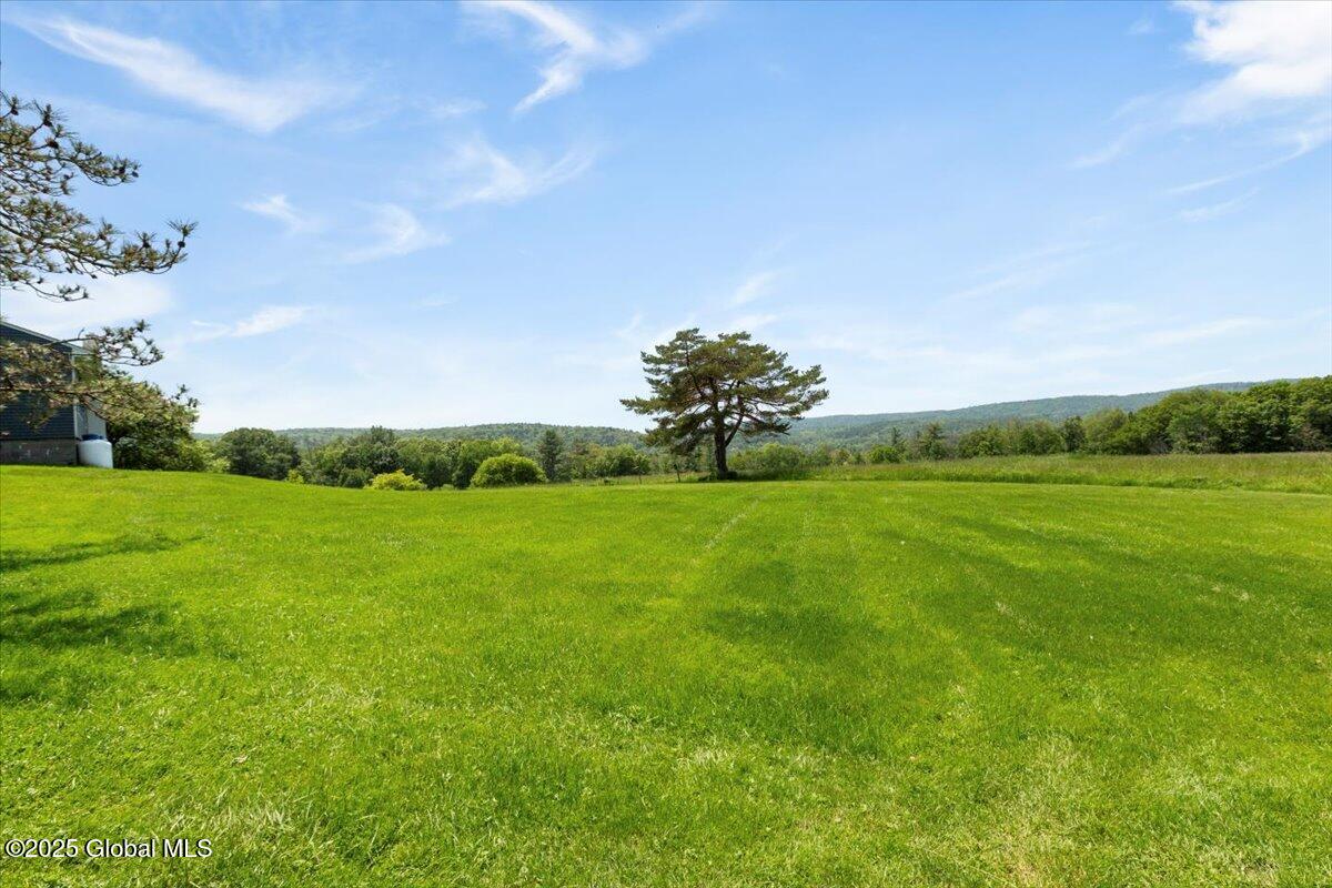 95 Schoolhouse Road, East Chatham, New York image 33
