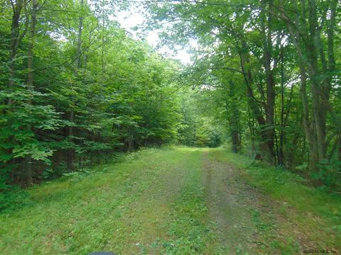Vacant Land For Sale - Mace Road<br/> Gilboa, NY 12076