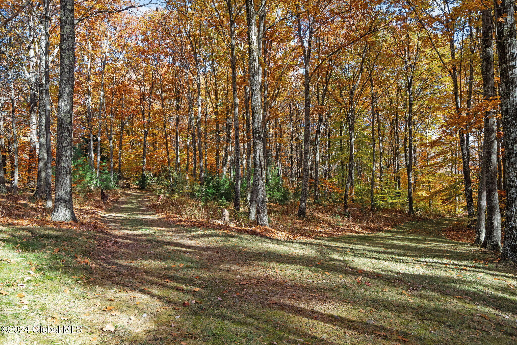 1901 Hermance Road, Galway, New York image 7