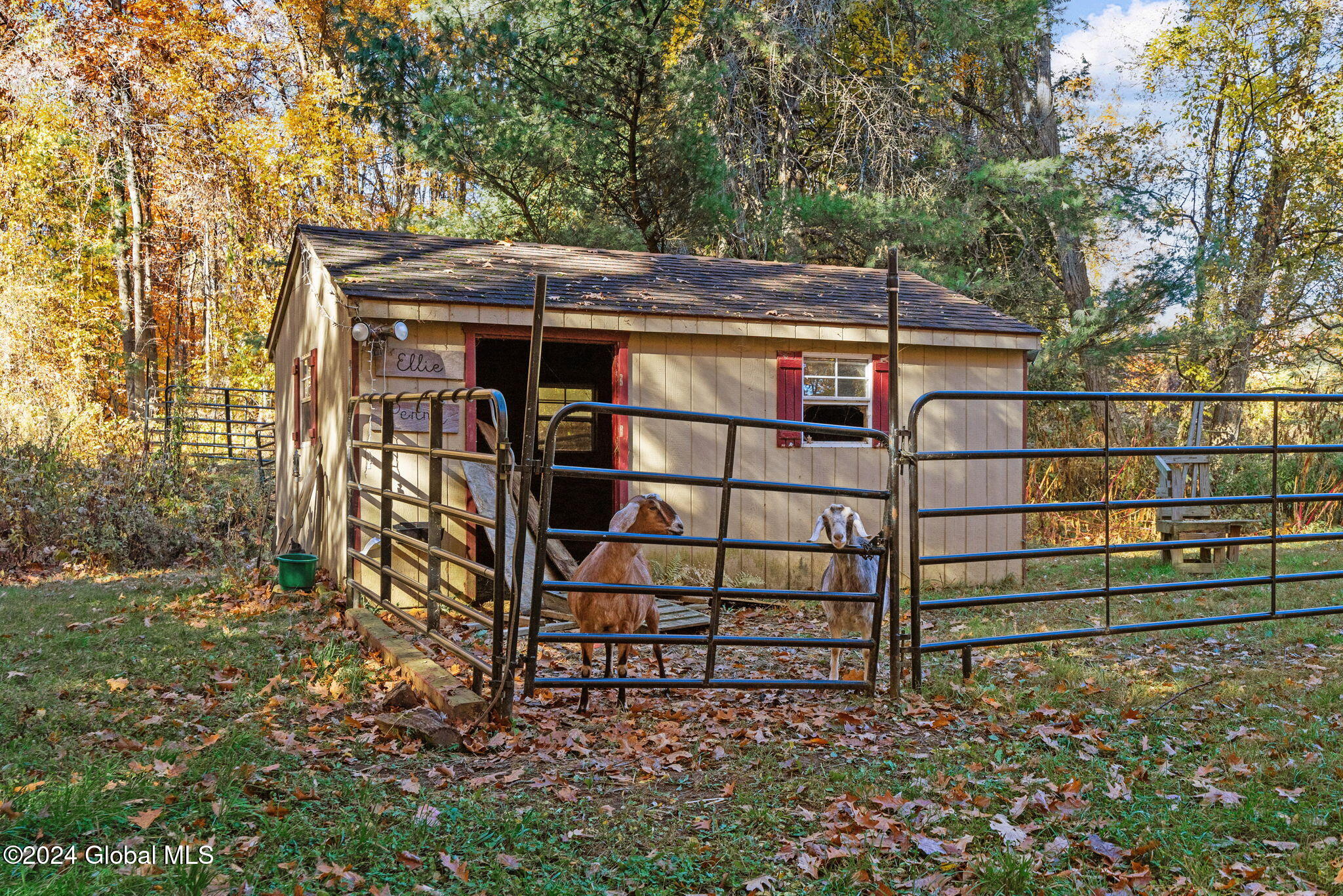 1901 Hermance Road, Galway, New York image 9