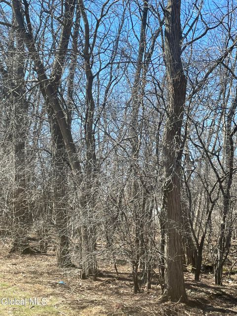 Photo of L 27 Stevenson Street, Schenectady, NY 12308 (MLS # 202614030)