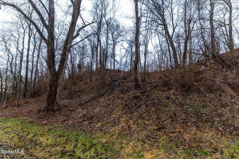Vacant Land For Sale - 94 Briar Avenue<br/> Albany, NY 12203