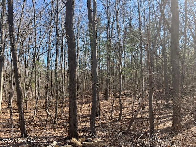 291 Vly Road, Niskayuna, New York image 1