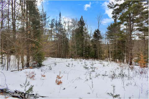 Vacant Land For Sale - L86 Highview Lane #LOT 2<br/> Wevertown, NY 12886