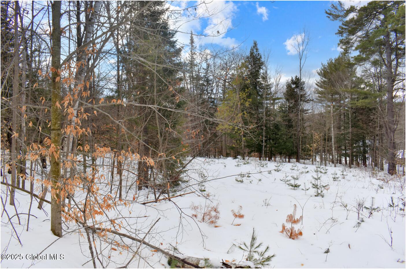 L86 Highview Lane #LOT 2, Wevertown, New York image 5