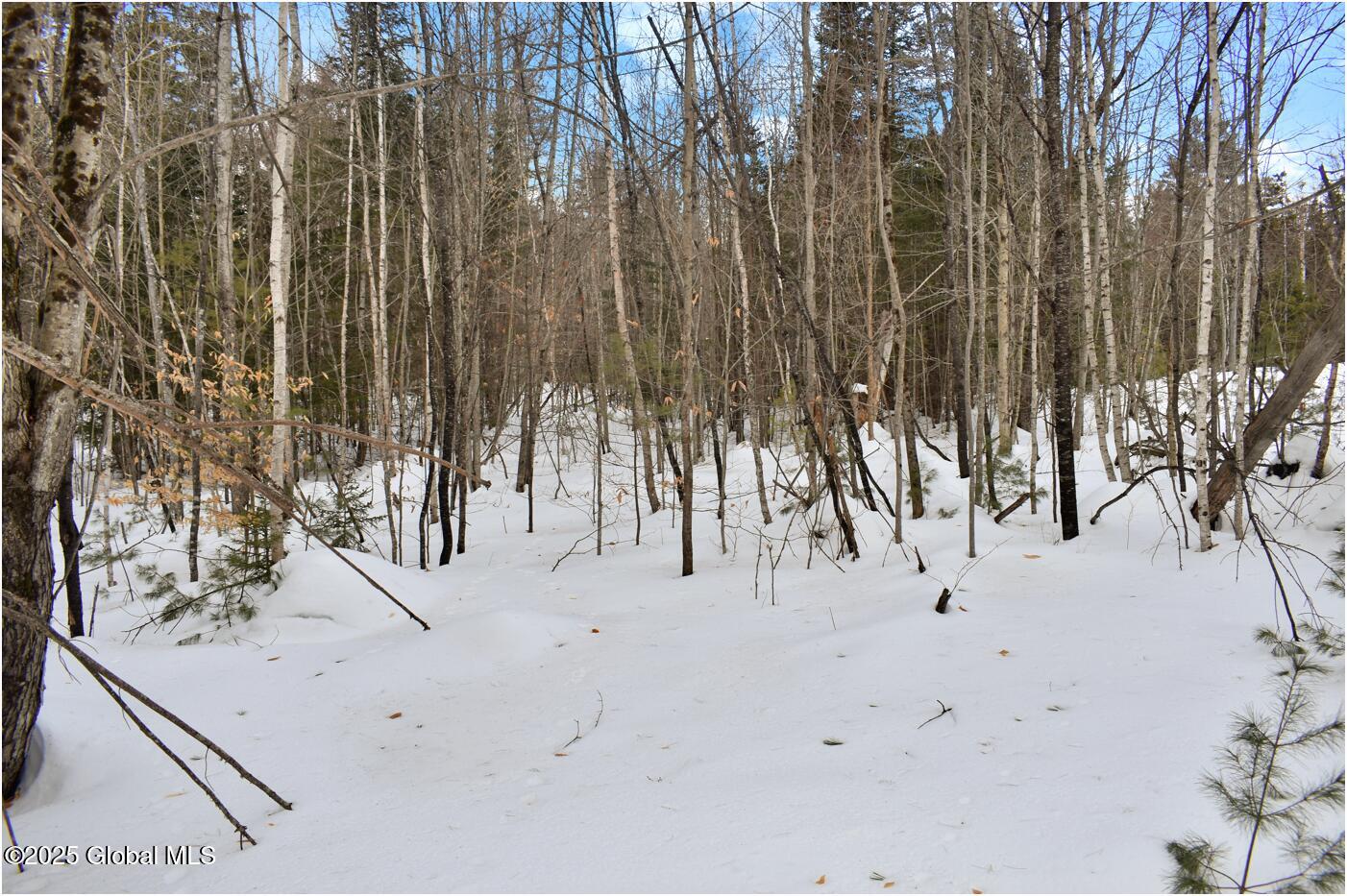 L86 Highview Lane #LOT 2, Wevertown, New York image 9