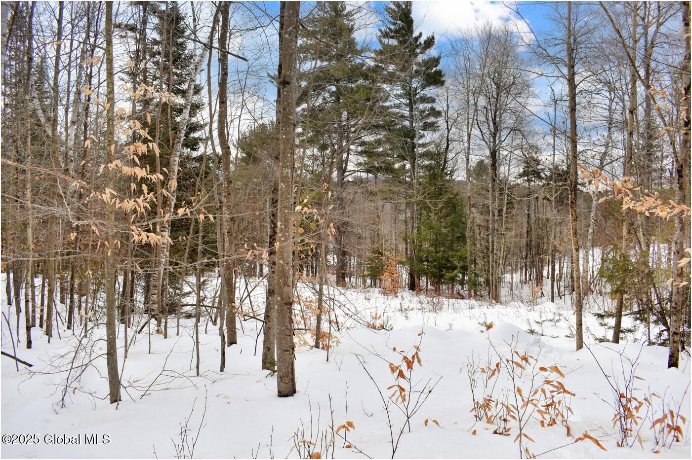 L86 Highview Lane #LOT 2, Wevertown, New York image 8