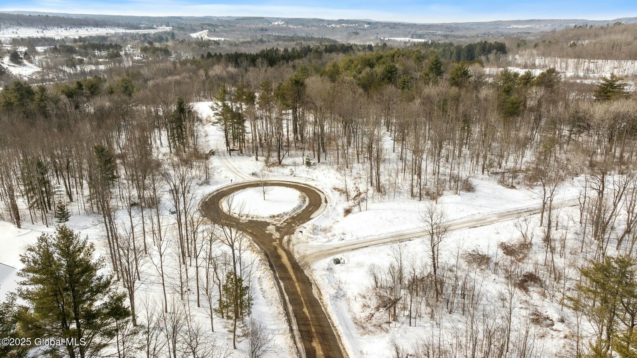 272 Woodstone Circle, Duanesburg, New York image 9
