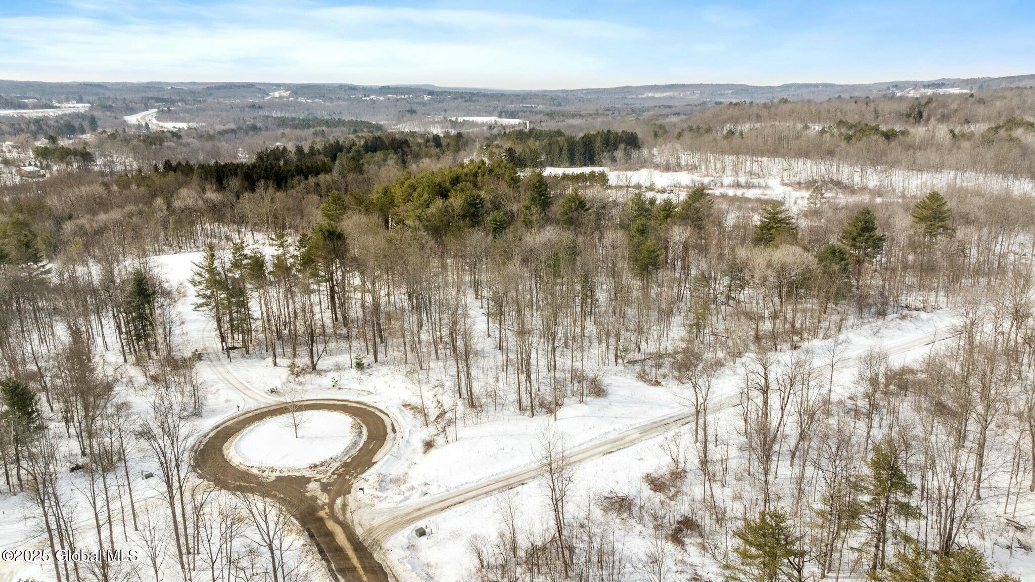 272 Woodstone Circle, Duanesburg, New York image 5