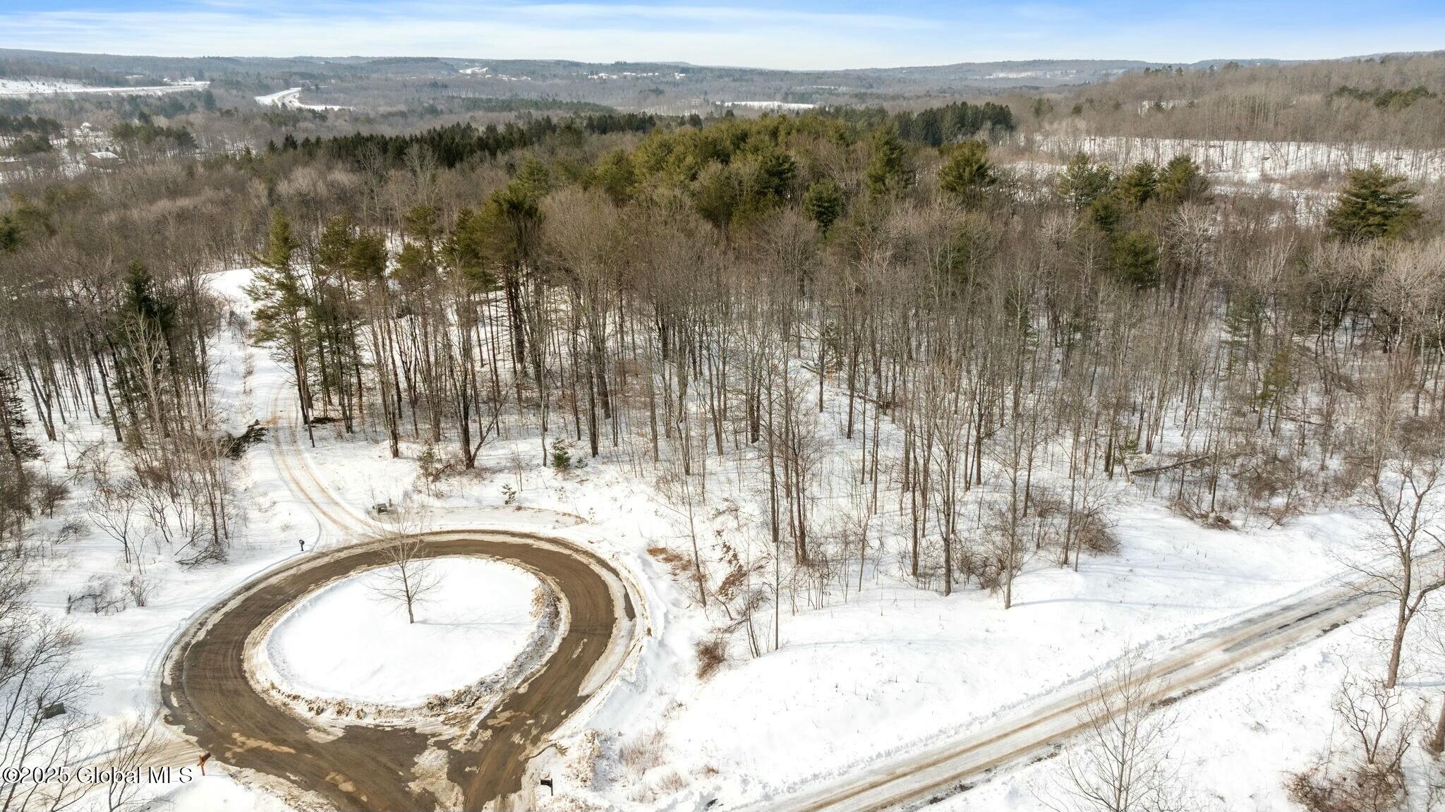272 Woodstone Circle, Duanesburg, New York image 3